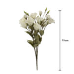 R, LISIANTHUS