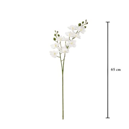 VARA ORQUIDEA PQ REAL TOUCH