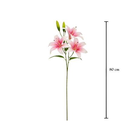 VARA LILIUM X3 REAL TOUCH