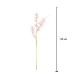 VARA LILIUM