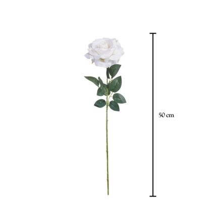 ROSA X1 *FUXIA