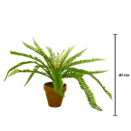 PLANTA HELECHOSA 44CM