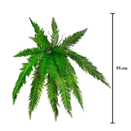 PLANTA DE HELECHO