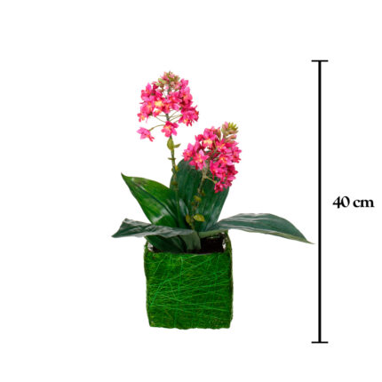 MACETITA GINGER X2 SISAL SURT.