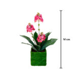 MACETITA GINGER X3 SISAL SURT.