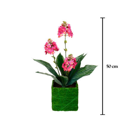 MACETITA GINGER X3 SISAL SURT.