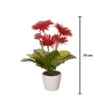 MACETITA GERBERA