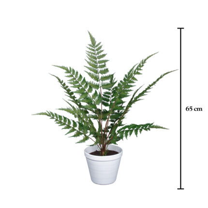 PLANTA HELECHO