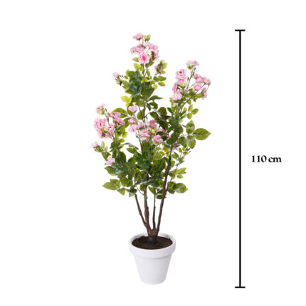 PLANTA CEREZO 1.10MT