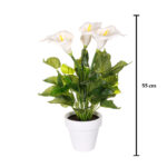 PLANTA CALA X3