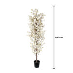 ARBOL ALMENDRO 1.80MT