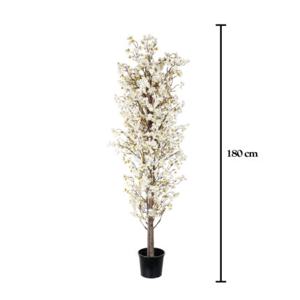 ARBOL ALMENDRO 1.80MT