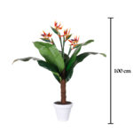 PLANTA AVE PARAISO TRONCO X4 1.00MT .