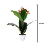 PLANTA AVE PARAISO X3 1.00MT