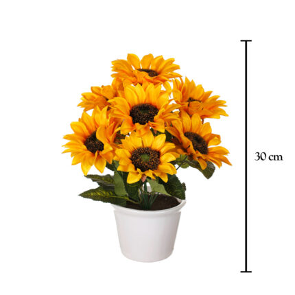 MACETA GIRASOL