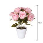 PLANTA ROSAL