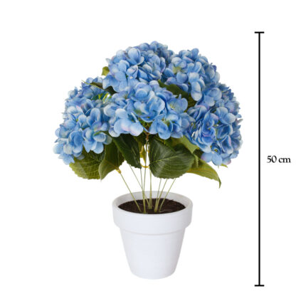 PLANTA HORTENSIA GIG. *FUXIA