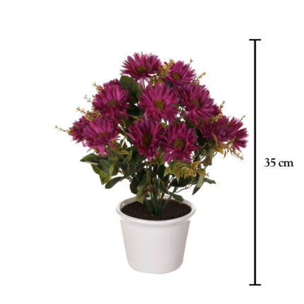 MACETA GERBERA MINI