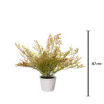 PLANTA RAMAJE BAMBU