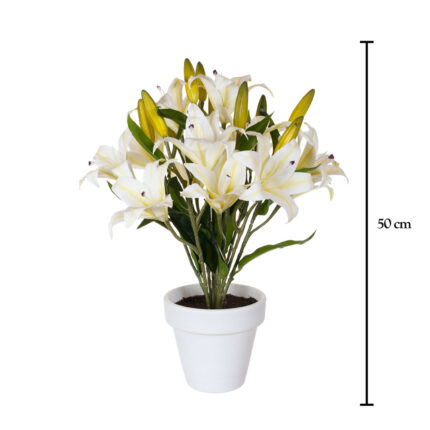 PLANTA LILIUM TACTO NATURAL *FUXIA