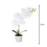MACETITA ORQUIDEA