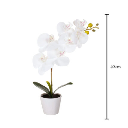 MACETITA ORQUIDEA *BLANCO