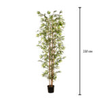 BAMBÚ 2.20MT *V.OSCURO