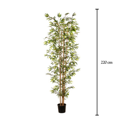 BAMBÚ 2.20MT *V.OSCURO