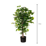 ARBOL FICUS 75CM