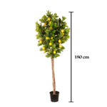 ARBOL LIMONERO 1.80CM