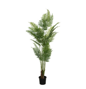 PLANTA PALMERA 180CM *V.OSCURO