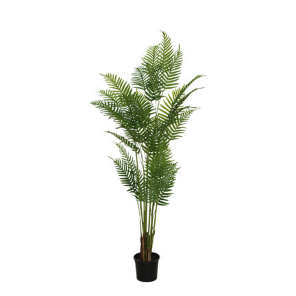 PLANTA PALMERA 180CM *V.OSCURO