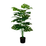 PLANTA COSTILLA 1.00MT *V.OSCURO