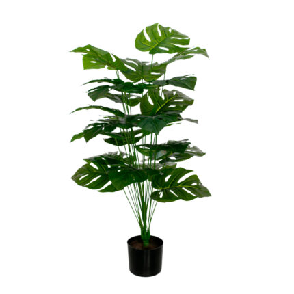 PLANTA COSTILLA 1.00MT *V.OSCURO