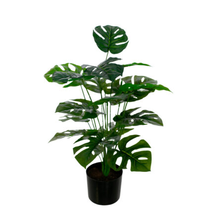 PLANTA COSTILLA (420863.C) *V.OSCURO