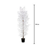 FICUS DE 1.80M