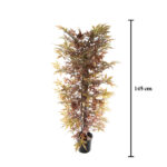 ARCE 1.45M