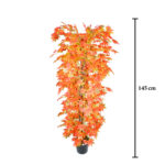 ARCE 1.45M