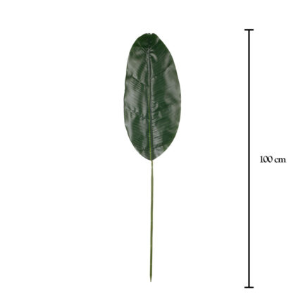 HOJA MEDIANA PLATANERA