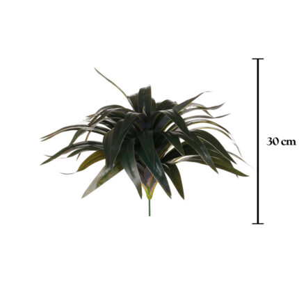 MATA DRACENA 30CM