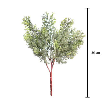 PLANTA CIPRES 30CM