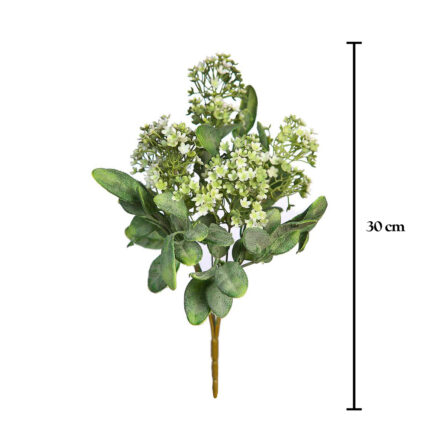 MATA CALANCHOE 30CM