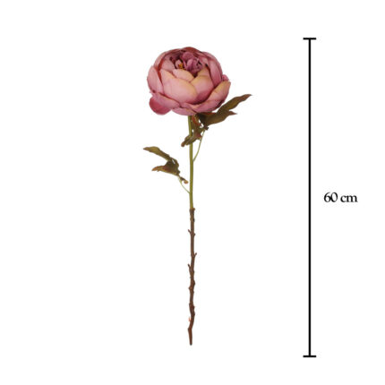 VARA PEONIA
