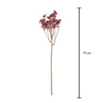 VARA BEGONIA