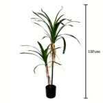 PLANTA YUCCA X2 TRONCOS 120CM *V.OSCURO