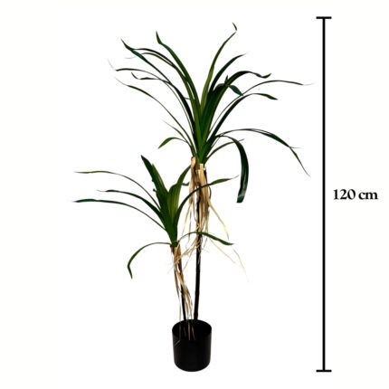 PLANTA YUCCA X2 TRONCOS 120CM *V.OSCURO