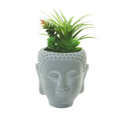 BUDA 17CM CACTUS *GRIS/V.OSCURO