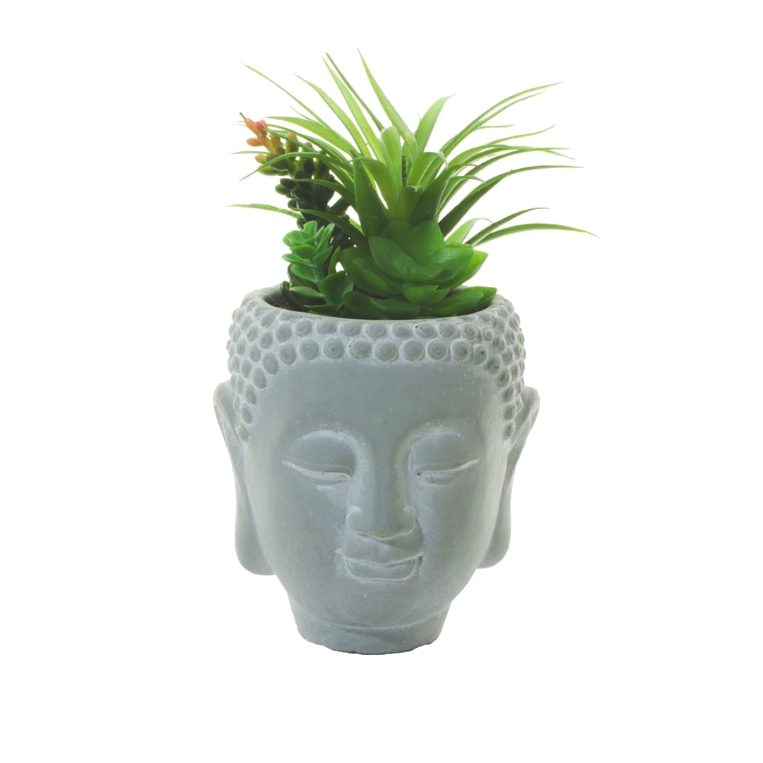 1510034-25.19.jpg BUDA 17CM CACTUS *GRIS/V.OSCURO