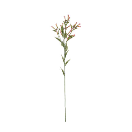 VARA CHILI BOOMING 70CM *SURTIDO