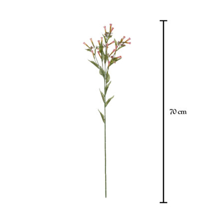 VARA CHILI BOOMING 70CM *SURTIDO